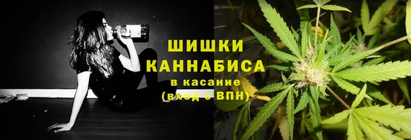 прущие грибы Баксан