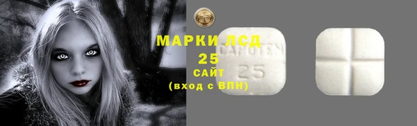 прущие грибы Баксан