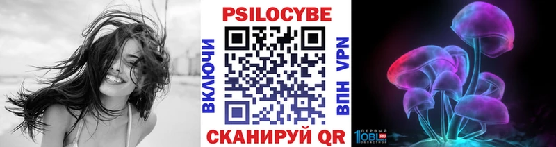 darknet наркотические препараты Плавск Псилоцибиновые грибы Magic Shrooms
